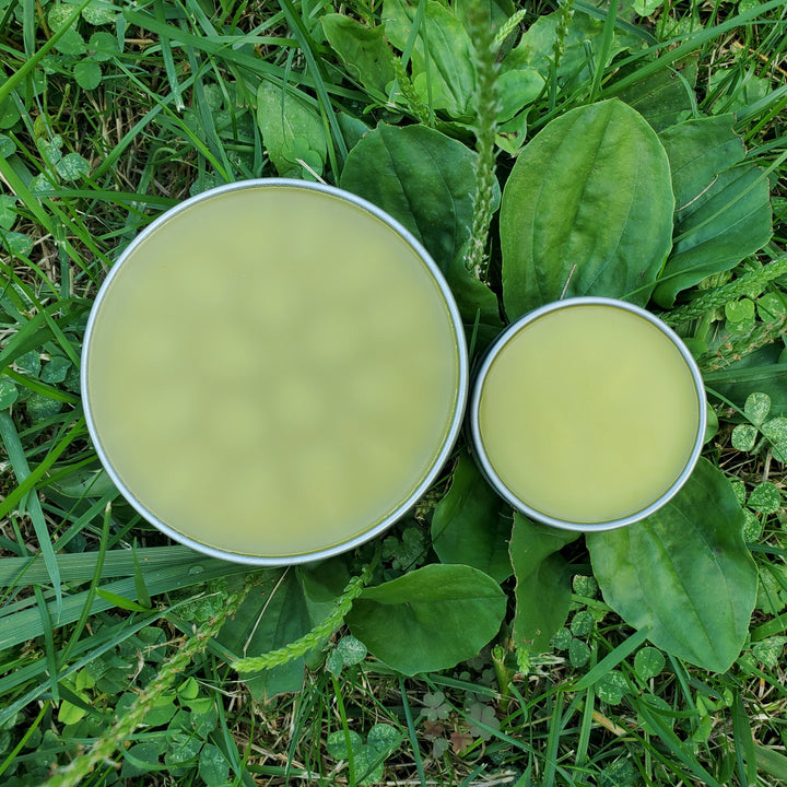 Green Goodness Herbal Salve - Small 1oz [more to come]